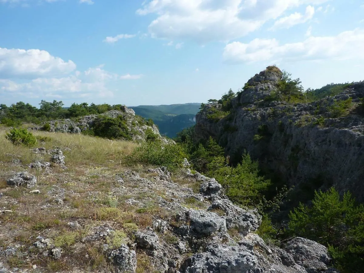 Villa Le Passé Composé à Millau